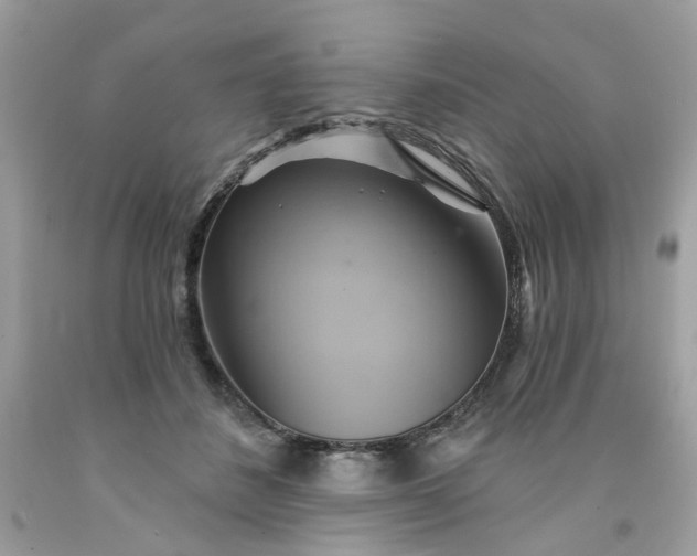 X0000091590508200709051124