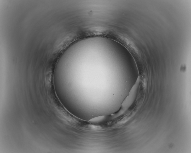 X0000091590509200709051124