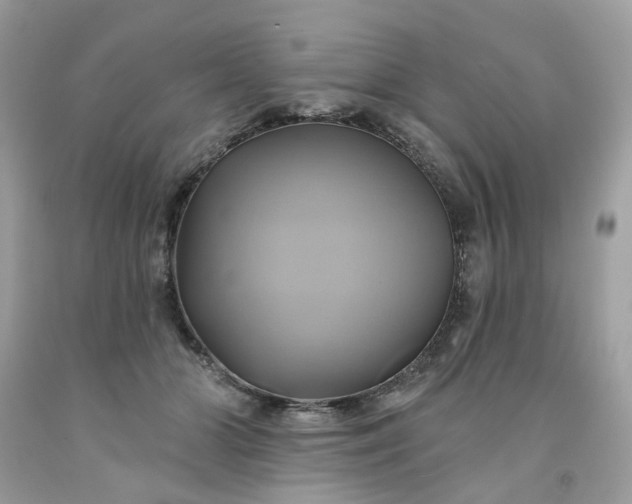 X0000091590510200709051124