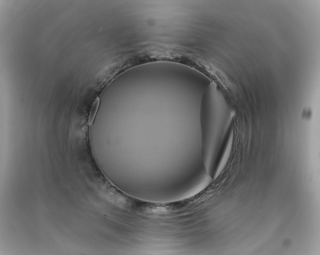 X0000091590513200709051124