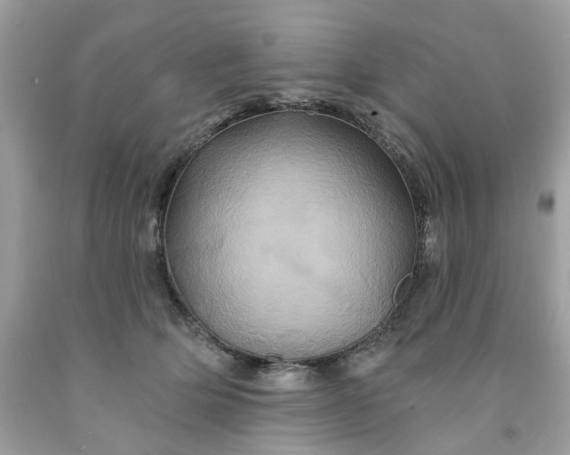 X0000091590514200709051124