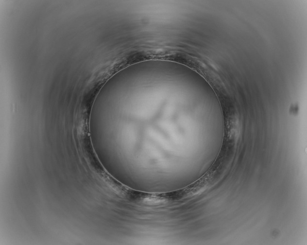 X0000091590515200709051124