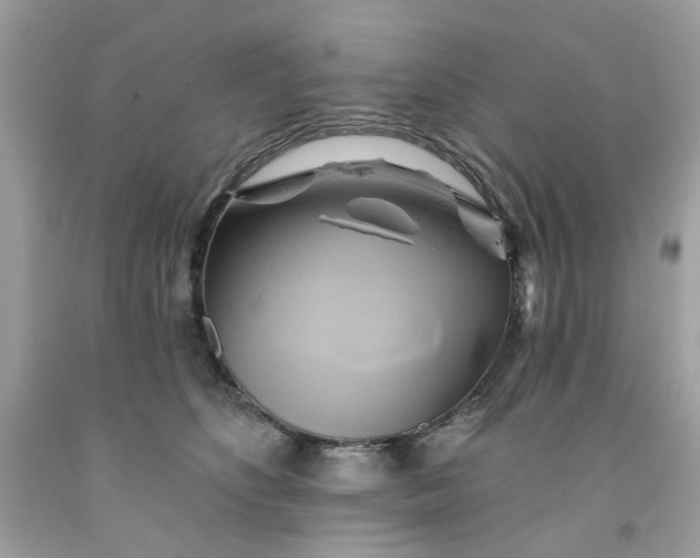 X0000091590516200709051124