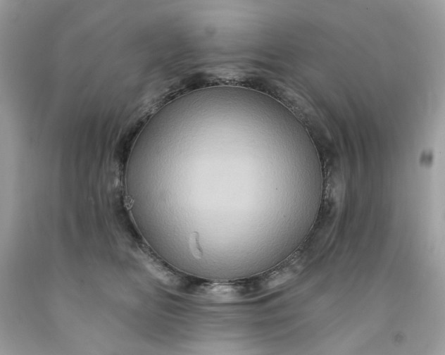 X0000091590518200709051124