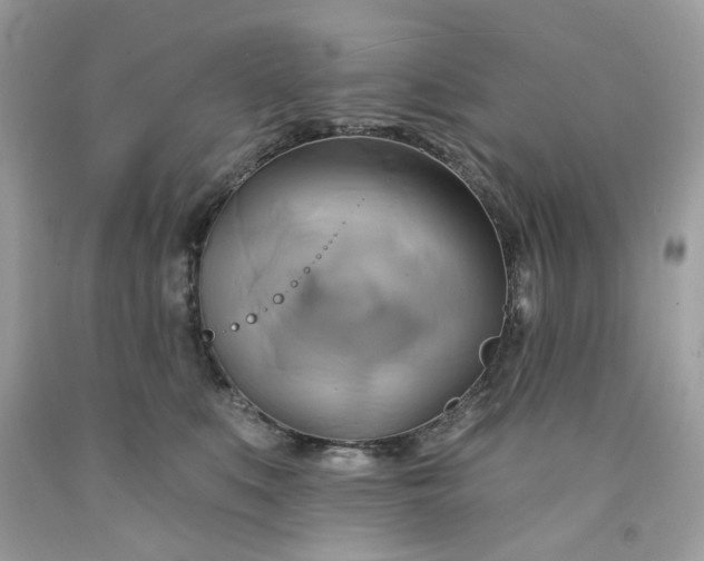 X0000091590519200709051124