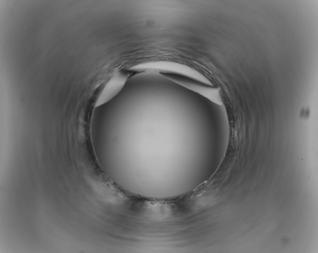 X0000091590520200709051124