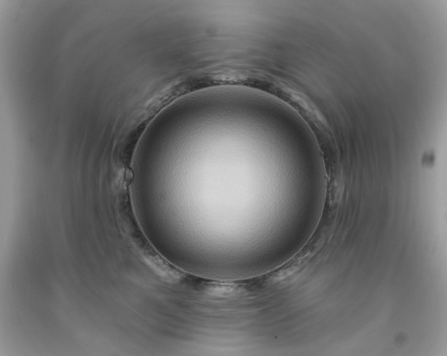 X0000091590521200709051124