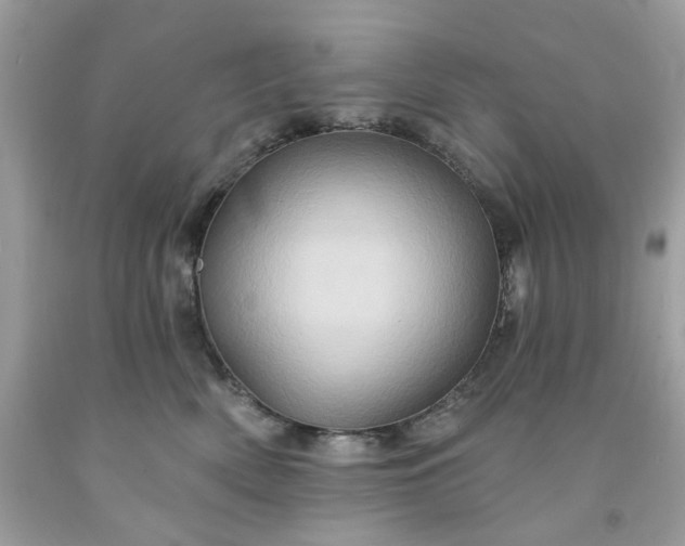 X0000091590522200709051124