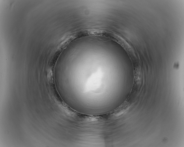 X0000091590523200709051124