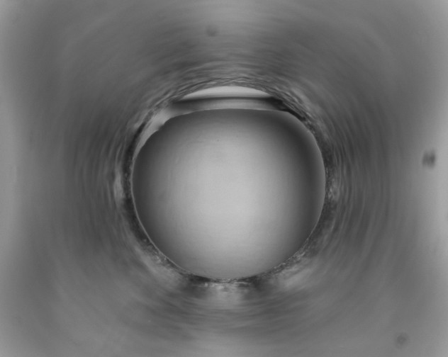 X0000091590524200709051124