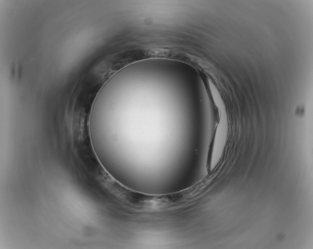 X0000091590525200709051124