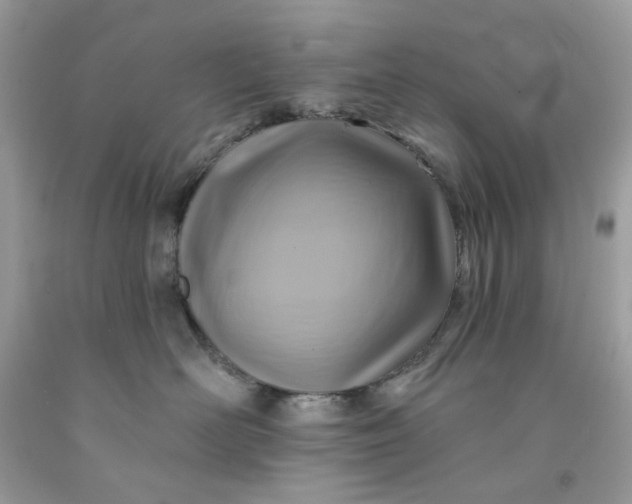 X0000091590526200709051124