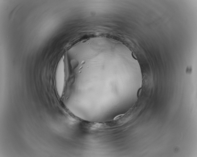X0000091590527200709051124