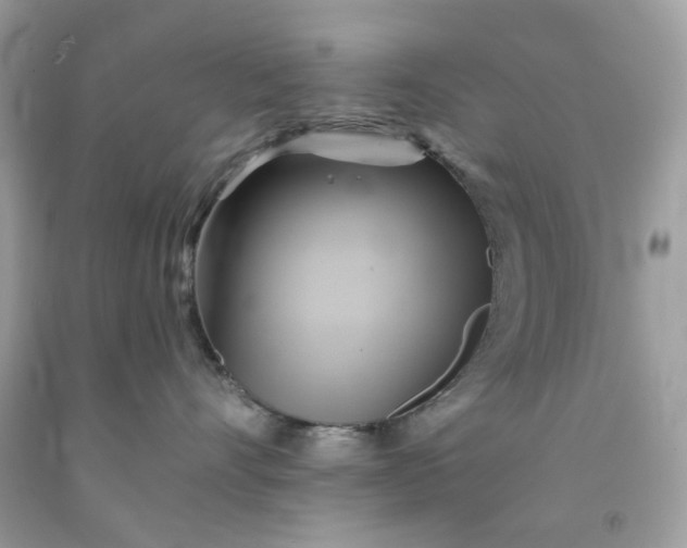 X0000091590528200709051124