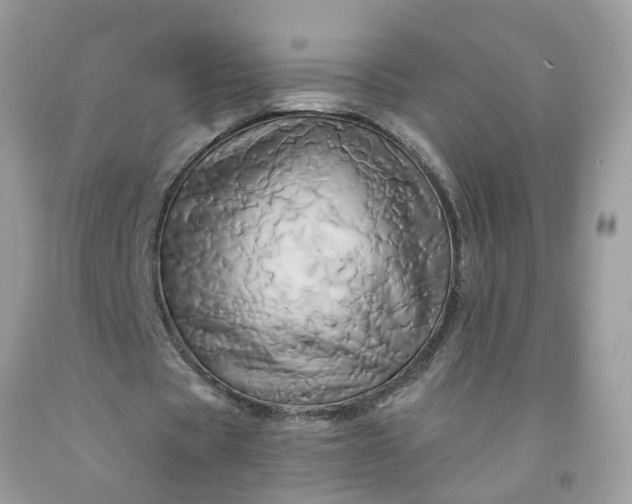 X0000091590529200709051123