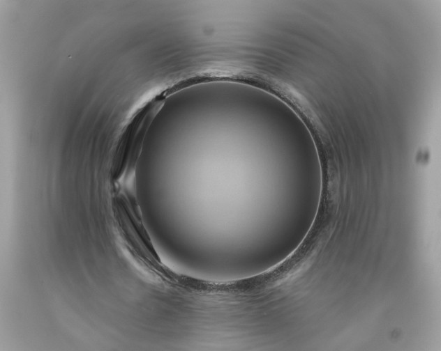 X0000091590530200709051123