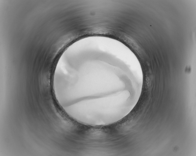 X0000091590534200709051123