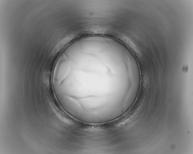 X0000091590537200709051123