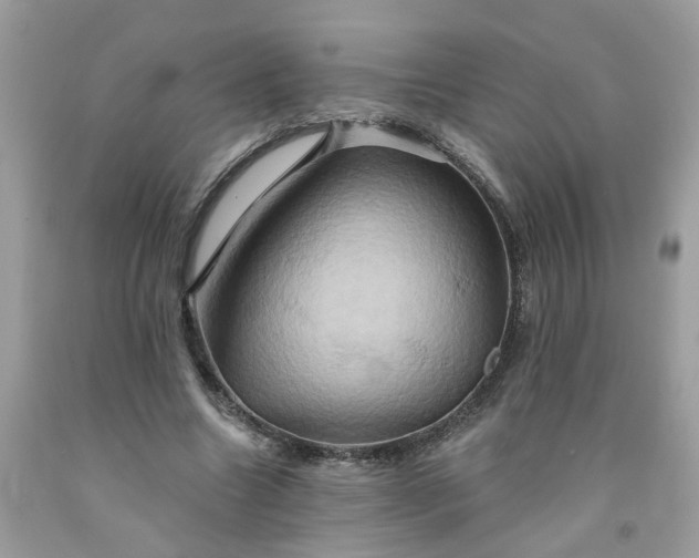X0000091590538200709051123