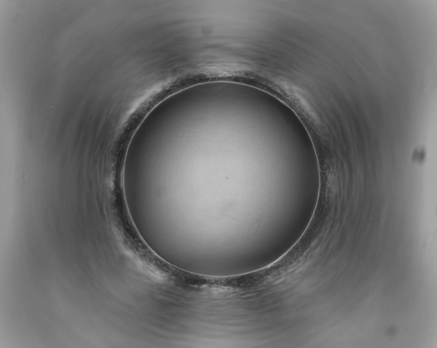 X0000091590539200709051123