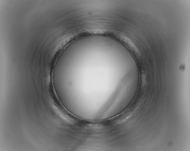 X0000091590541200709051123