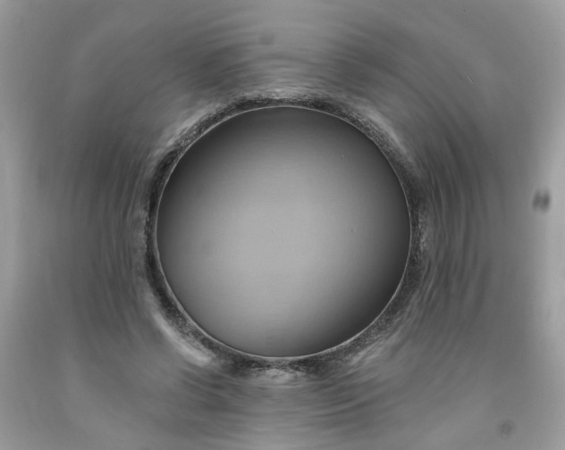 X0000091590542200709051123
