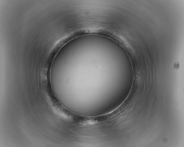 X0000091590543200709051123