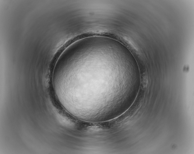 X0000091590544200709051123