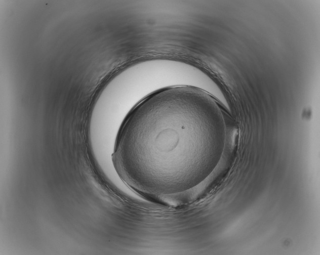 X0000091590546200709051123