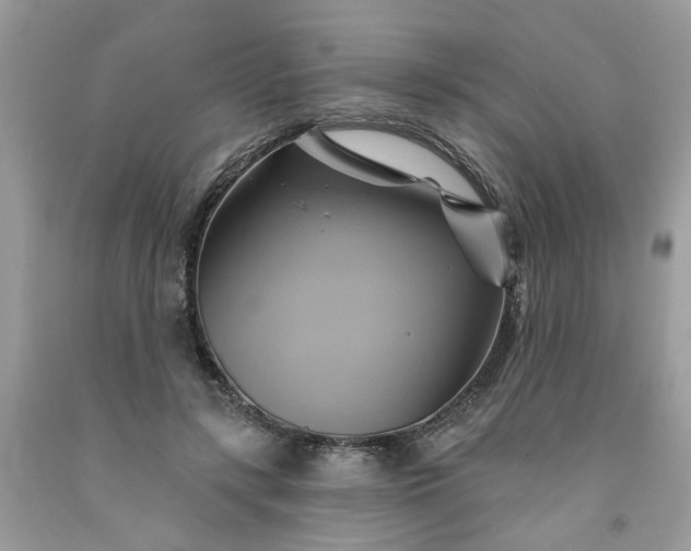 X0000091590547200709051123