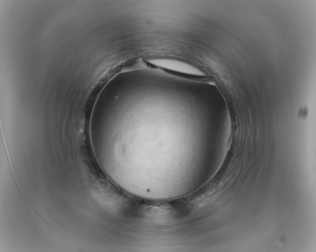 X0000091590548200709051124