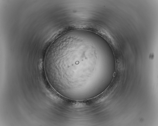 X0000091590549200709051124
