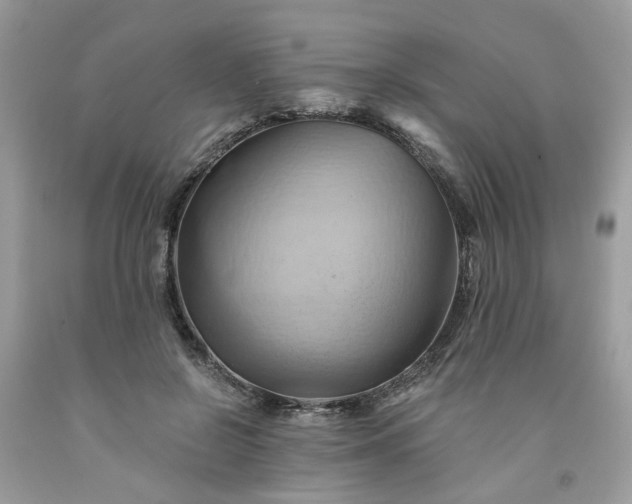 X0000091590550200709051124