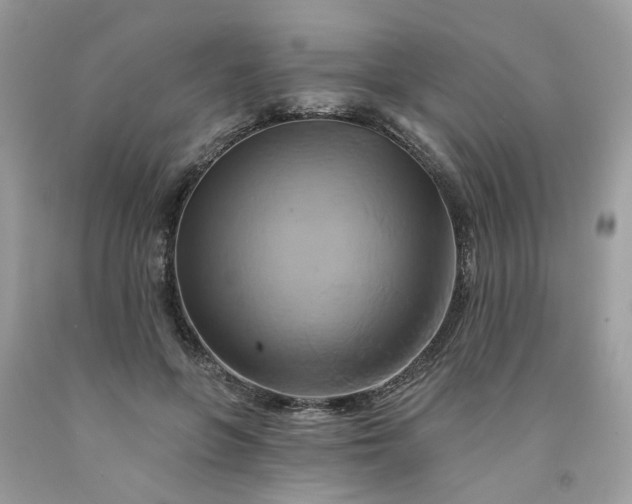 X0000091590551200709051124