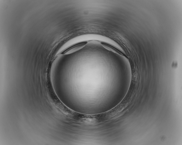 X0000091590552200709051124