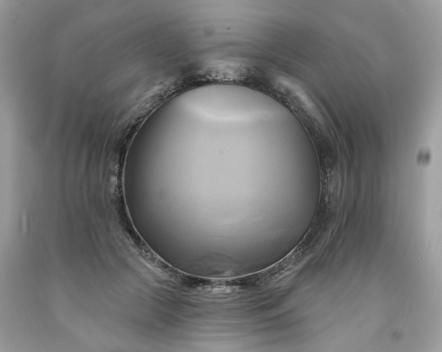 X0000091590553200709051124