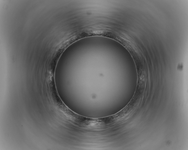 X0000091590555200709051124