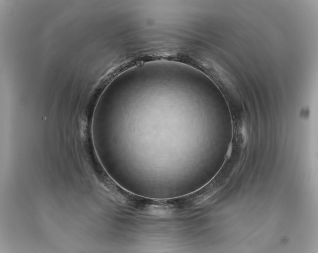X0000091590556200709051124
