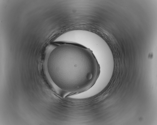 X0000091590558200709051124
