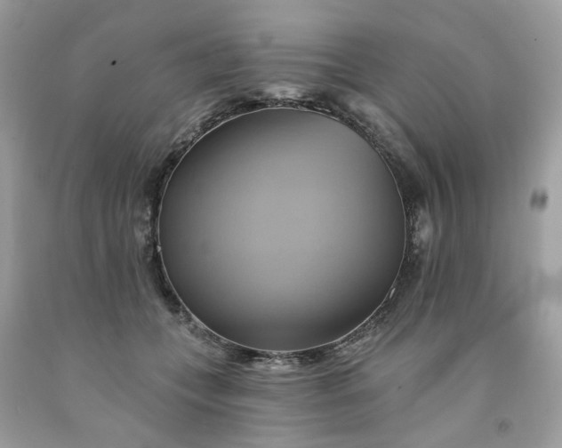X0000091590559200709051124