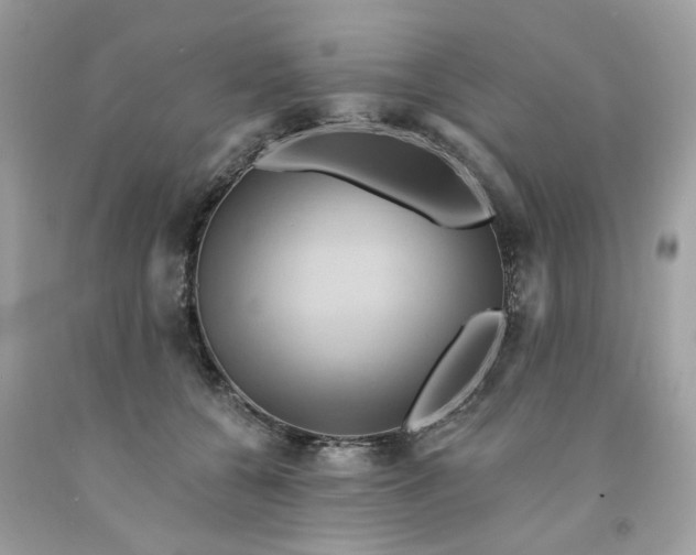 X0000091590560200709051124