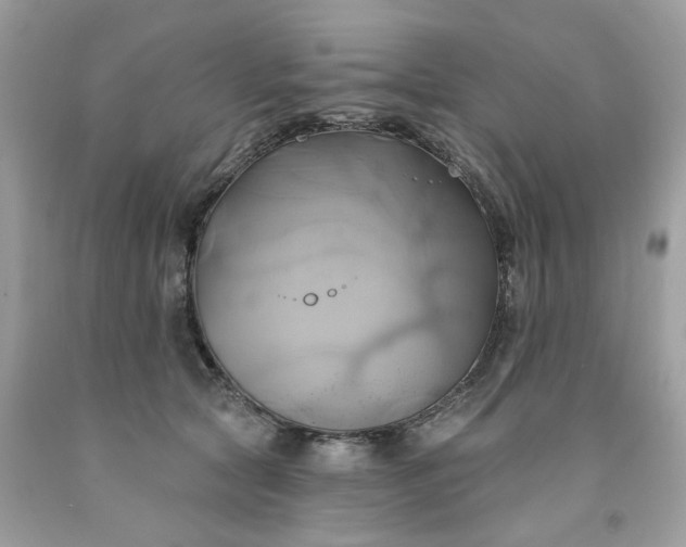 X0000091590561200709051124