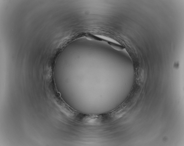 X0000091590563200709051124
