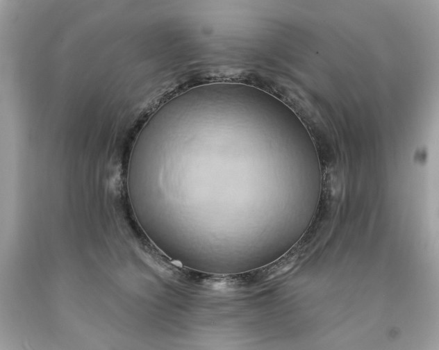 X0000091590564200709051124