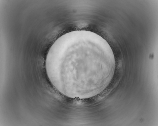 X0000091590565200709051124