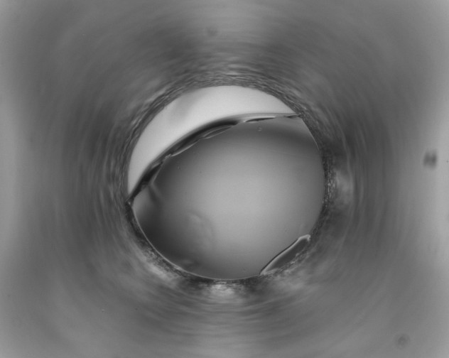 X0000091590566200709051124