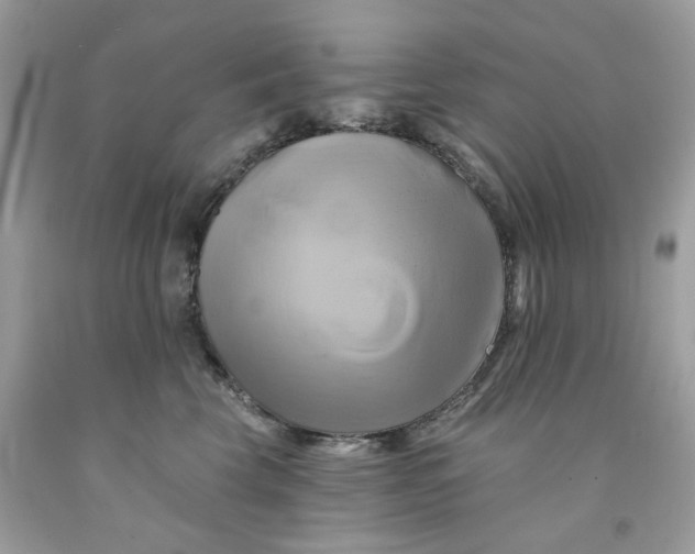 X0000091590569200709051124