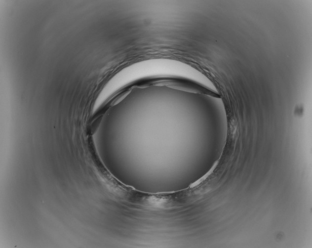 X0000091590570200709051124