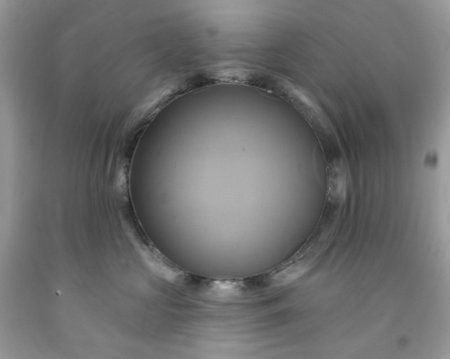 X0000091590573200709051124