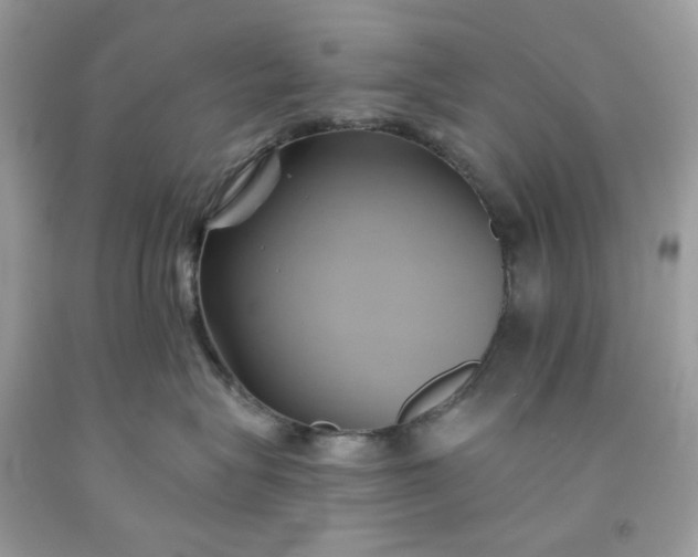 X0000091590575200709051124
